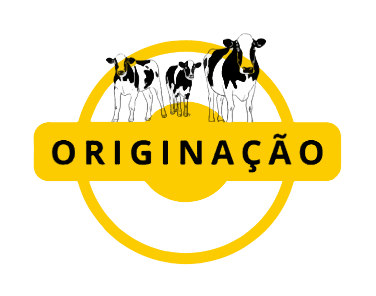imagem - Projeto de Originação